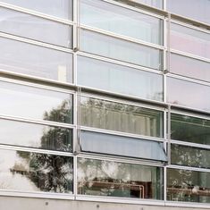 the reflection of trees in windows on a building