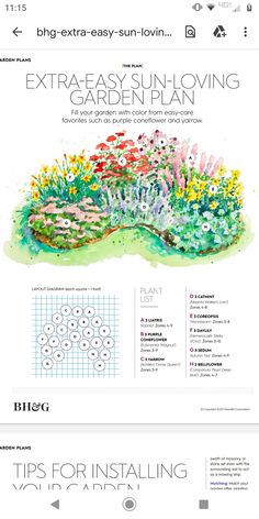 the garden plan is shown with flowers and plants