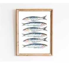 five fish are displayed in a wooden frame on the wall next to a white wall