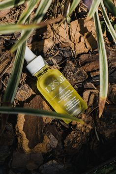 an empty bottle sitting on the ground next to some plants