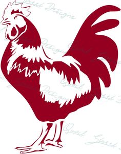 a red and white rooster standing on its hind legs