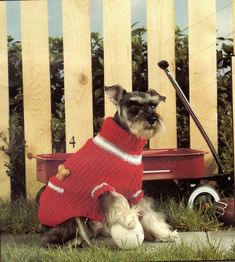 a dog wearing a red sweater sitting in front of a wagon with a baseball bat