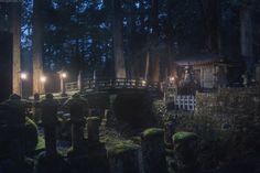 an old cemetery at night with lights on and moss growing all over the gravestones