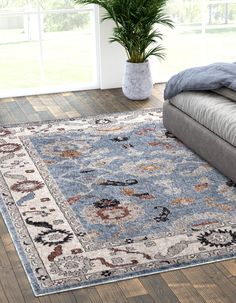 a living room area with a couch, rug and potted plant