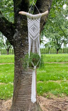 a white macrame hanging from a tree