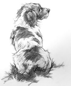 a drawing of a dog sitting on the ground