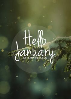 a tree branch with the words hello january on it