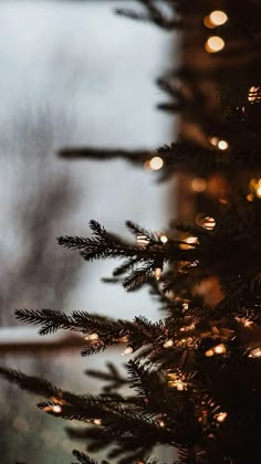 a close up of a christmas tree with lights on it's branches and snow in the background