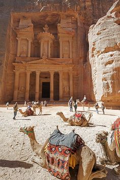 camels and people in front of an ancient building