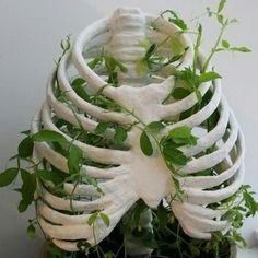 a skeleton planter with green plants growing out of it's ribcage