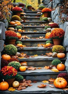 a set of steps with pumpkins and gourds on them