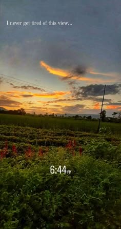 the sun is setting over a green field