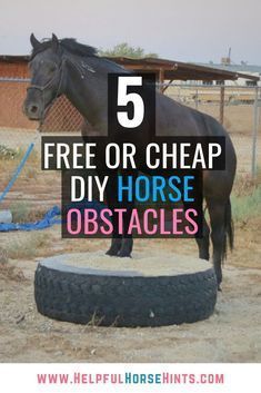 a horse standing on top of a tire in an enclosure with text overlay that reads, 5 free or cheap diy horse obstacles