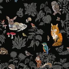 an image of animals and birds on a black background