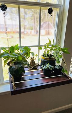 Unique Bridal Shower Gift | Bridal Shower Gift | Plant Stand | Hanging Window Shelf | Windowsill Plant Shelf | Hanging Plant Shelf | Hanging Window Plant Shelf | Suction Window Shelf | Plant Shelf | Hanging Plant Stand | Hanging Window Plant Stand | Wooden Plant Stand | Hanging Wooden Window Shelf | Indoor Plants  This hanging window shelf is handmade with quality wood and can be customized to fit your needs, making it the perfect unique housewarming gift! The recipient can use it for plants, kn Hanging Window Plant Shelf, Plant Shelf Window, Plant Window Sill, Window Sill Planter, Window Sill Shelf, Unique Bridal Shower Gift, Window Plant Shelf, Red Mahogany Stain, Windowsill Plants