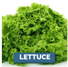 lettuce is shown with the words lettuce in blue letters on it