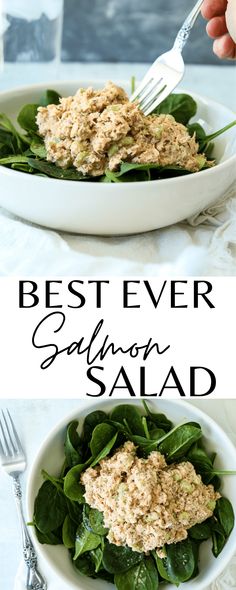 salmon salad with spinach Can Salmon Salad Recipes, Canned Salmon Salad Recipes Healthy, Can Salmon Recipes Easy Healthy, Recipes For Cooked Salmon Leftovers, Leftover Salmon Recipes Keto, Salmon Can Recipes, Leftover Salmon Lunch Ideas, Cold Salmon Recipes Lunches, Salmon Tuna Salad