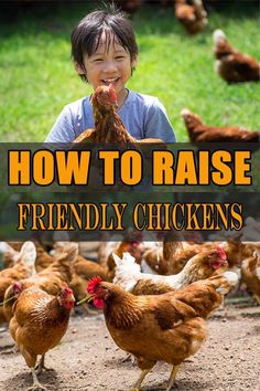 a boy standing in front of chickens with the words how to raise friendly chickens