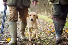 two people and a dog are walking in the woods with their boots on, one is holding an umbrella