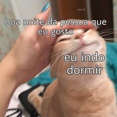 a person is petting an orange cat with its mouth open and the caption reads, boa note da pesoa que que que que que que que e gostoo