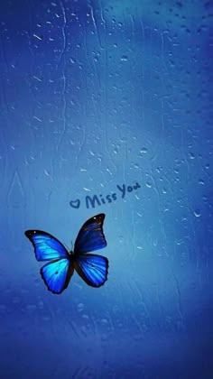 a blue butterfly with the words miss you on it