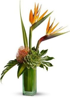 an arrangement of flowers in a vase on a white background