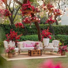 an outdoor area with couches, chairs and flowers on the ground in front of a tree