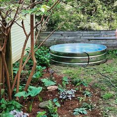 a man standing next to an empty swimming pool in a yard with trees and shrubs