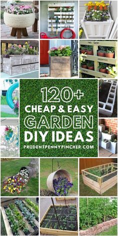 many different types of garden plants with the words cheap and easy garden diy ideas