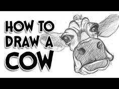 a drawing of a cow with the words how to draw a cow