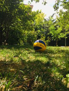 a yellow and blue beach ball sitting in the grass