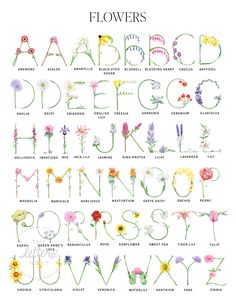 the alphabet with flowers on it is shown in this poster, which shows different types of flowers