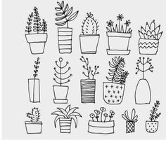 hand drawn potted plants and succulents