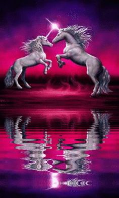 two unicorns are touching each other in the water