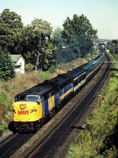 a yellow and blue train traveling down tracks next to some trees on the side of a road