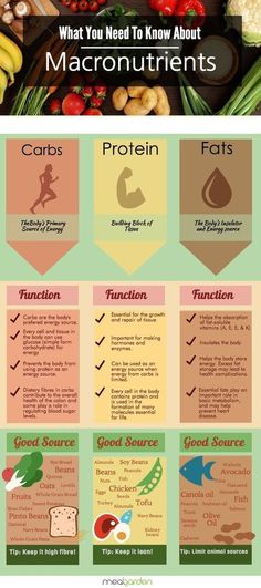 what you need to know about Macronutrients - Carbs protiens and fats.  Essential function infographic Macro Nutrients, Nutrition Sportive, Diet Vegetarian, Garden Recipes, Nutrition Education, Healthy Nutrition