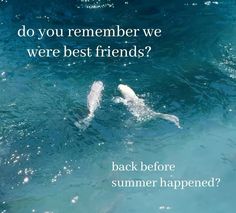 two white fish swimming in the water with text that reads, do you remember we were best friends? back before summer happened?