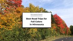 a road with trees in the background and a sign that says best road trips for fall colors in minnesota