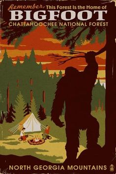 a bigfoot poster is shown in front of a campfire and tent with the words, america this forest is the home of national sasquatche