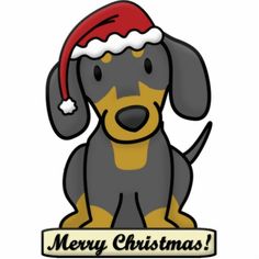 a black and brown dog wearing a santa hat with the words merry christmas on it