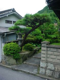 a very nice looking house with some trees in the yard