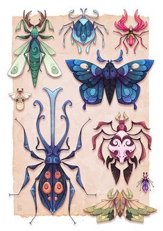 an image of bugs and insects on paper