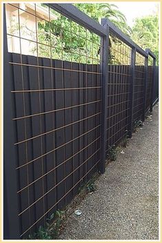 Outdoor Privacy Screens - All you need to conquer your day, night and world - Anything and Everything! - Click to visit TODAY! Reo Mesh Garden, Modern Garden Trellis Ideas, Reo Mesh Fence, Cattle Panel Fence, Outdoor Screen Panels, Black Trellis, Cattle Panels, Black Fence, Side Yard Landscaping