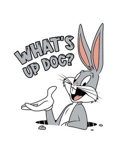 a cartoon rabbit with the words what's up dog?