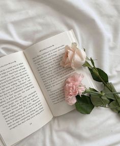 an open book with two pink roses laying on top of it next to some green leaves