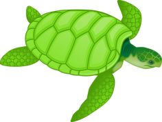 a drawing of a green sea turtle with its head turned to the side and eyes closed