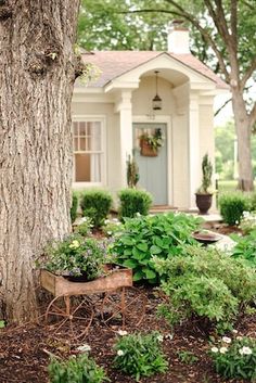 a house with a tree in front of it and some plants growing on the ground