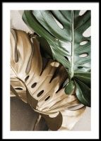 a large green leaf sitting on top of a table