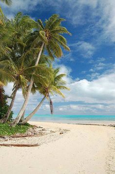 a beach with palm trees and the ocean in the background