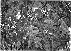 a black and white drawing of leaves